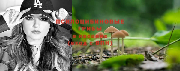 ГАЛЛЮЦИНОГЕННЫЕ ГРИБЫ Осташков