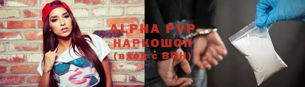 прущие грибы Кулебаки