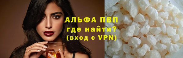 прущие грибы Кулебаки