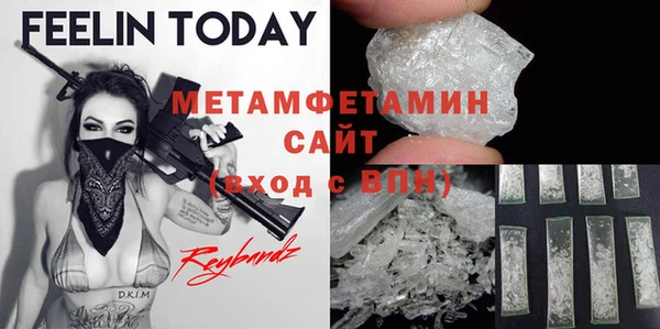 прущие грибы Кулебаки