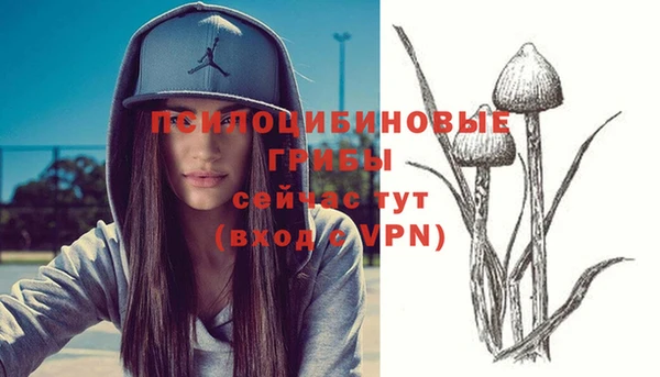 молекула духа Кукмор