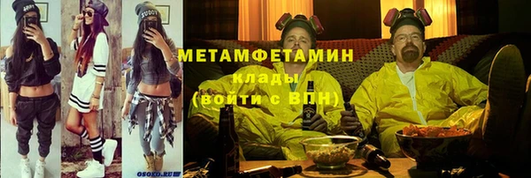 прущие грибы Кулебаки
