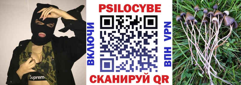 цена наркотик  Улан-Удэ  Галлюциногенные грибы Psilocybine cubensis 