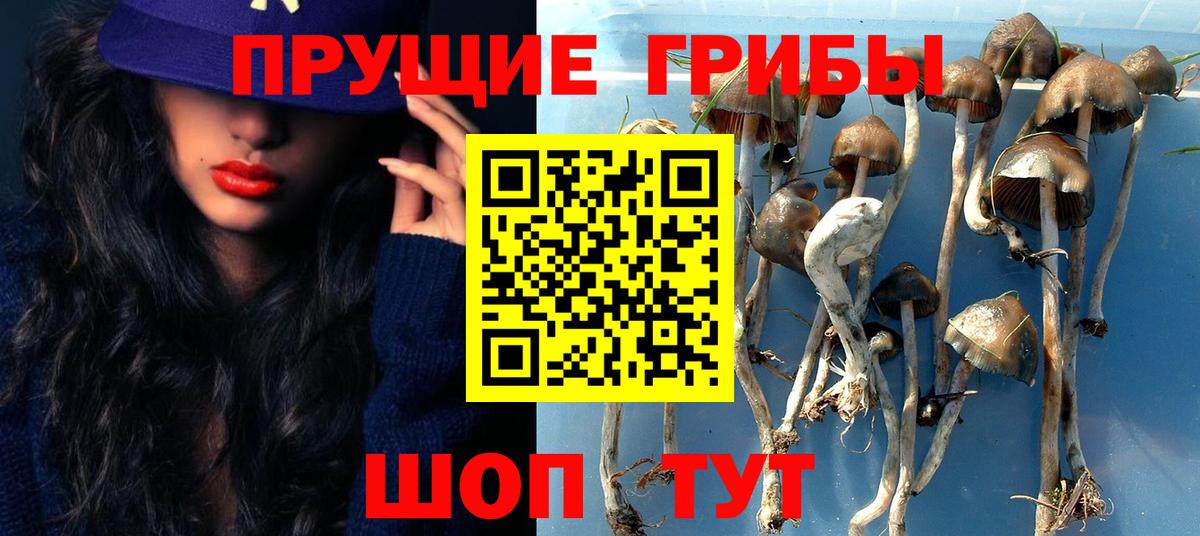 где найти наркотики  Галлюциногенные грибы Cubensis  Вход с VPN  Галлюциногенные грибы мухоморы  Улан-Удэ 