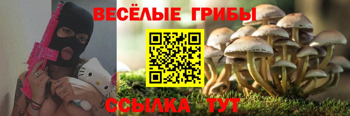 Галлюциногенные грибы прущие грибы Улан-Удэ